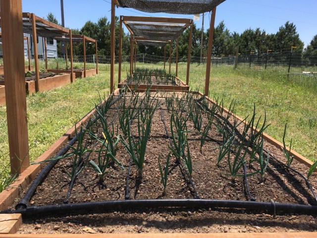 DFEDC8EF-EB79-4EF5-89EB-DDE661F0584B