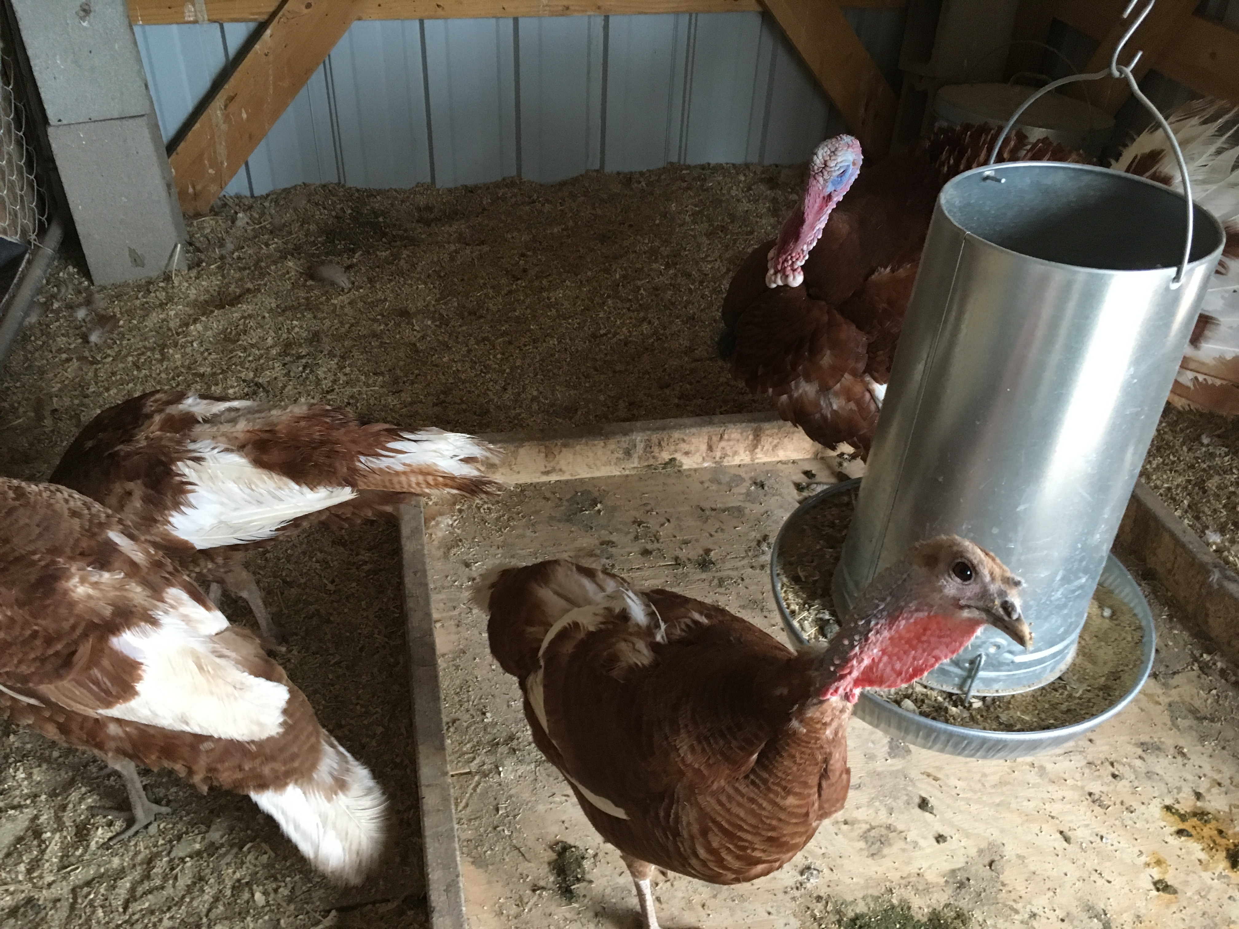 0BB18AA3-3FBF-407F-A1B5-7343B2E03E2F