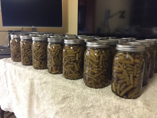 2A80B092-F61A-4A45-84CD-E06A6D6A582E