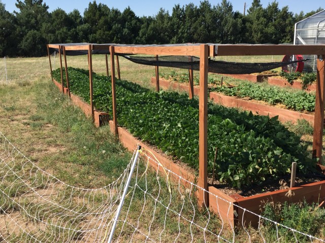 3BFBAF0E-72D2-4087-98F8-68F6C321C7E5