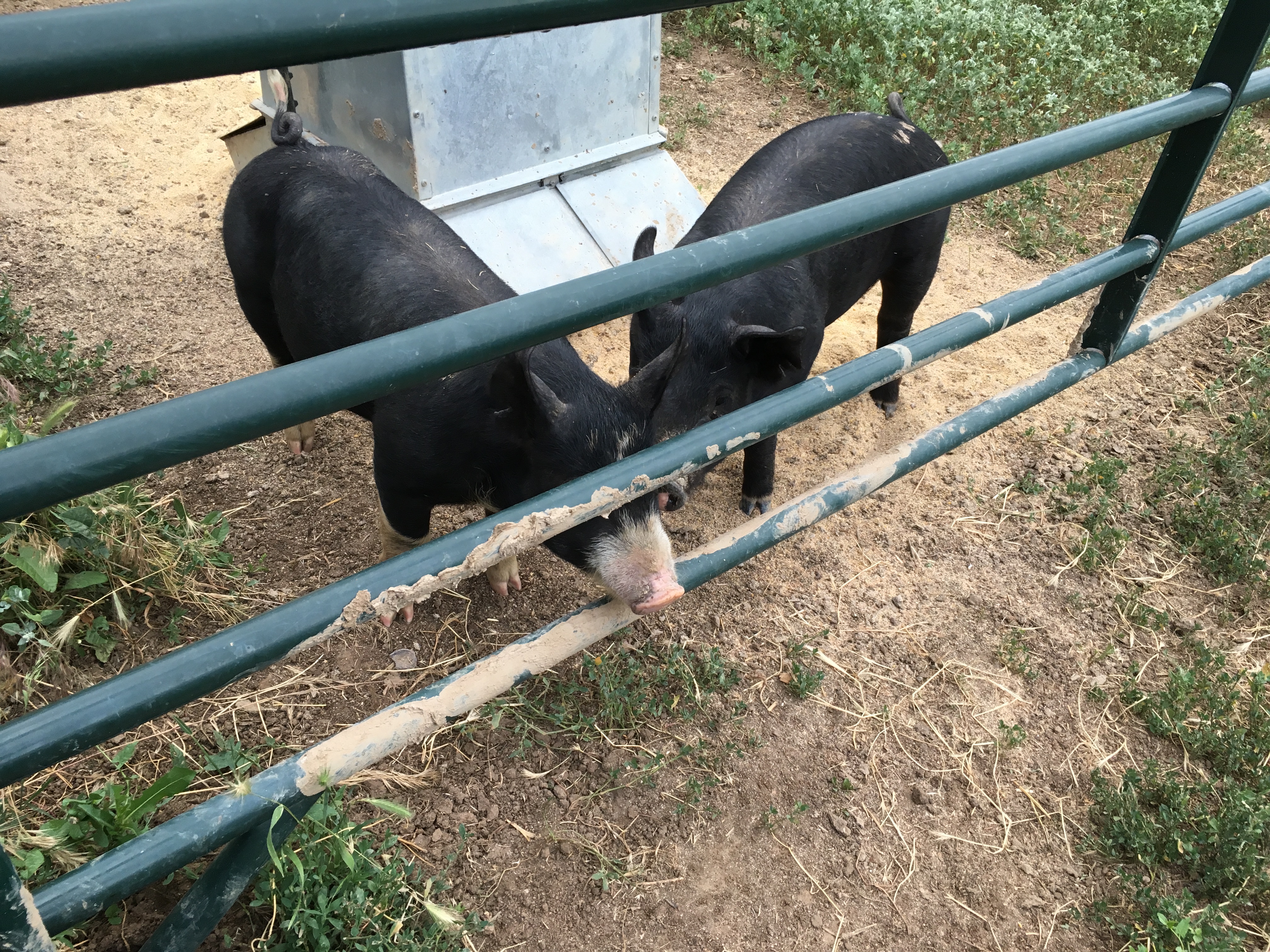 48070EBC-9D7E-424F-8061-0836E8EAEE84