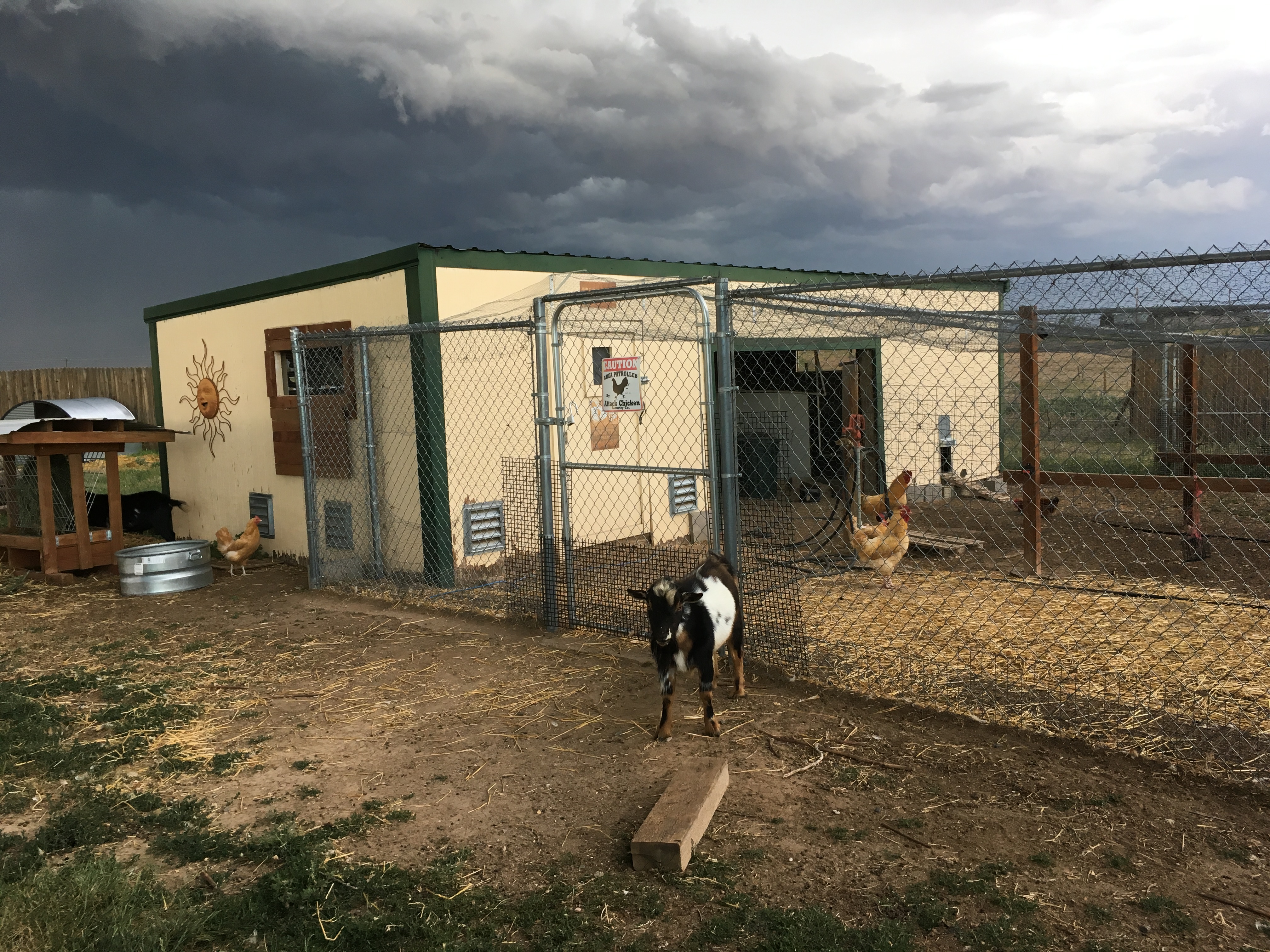 69C048B4-4C86-4CE2-B8F6-C867E6B2FACD