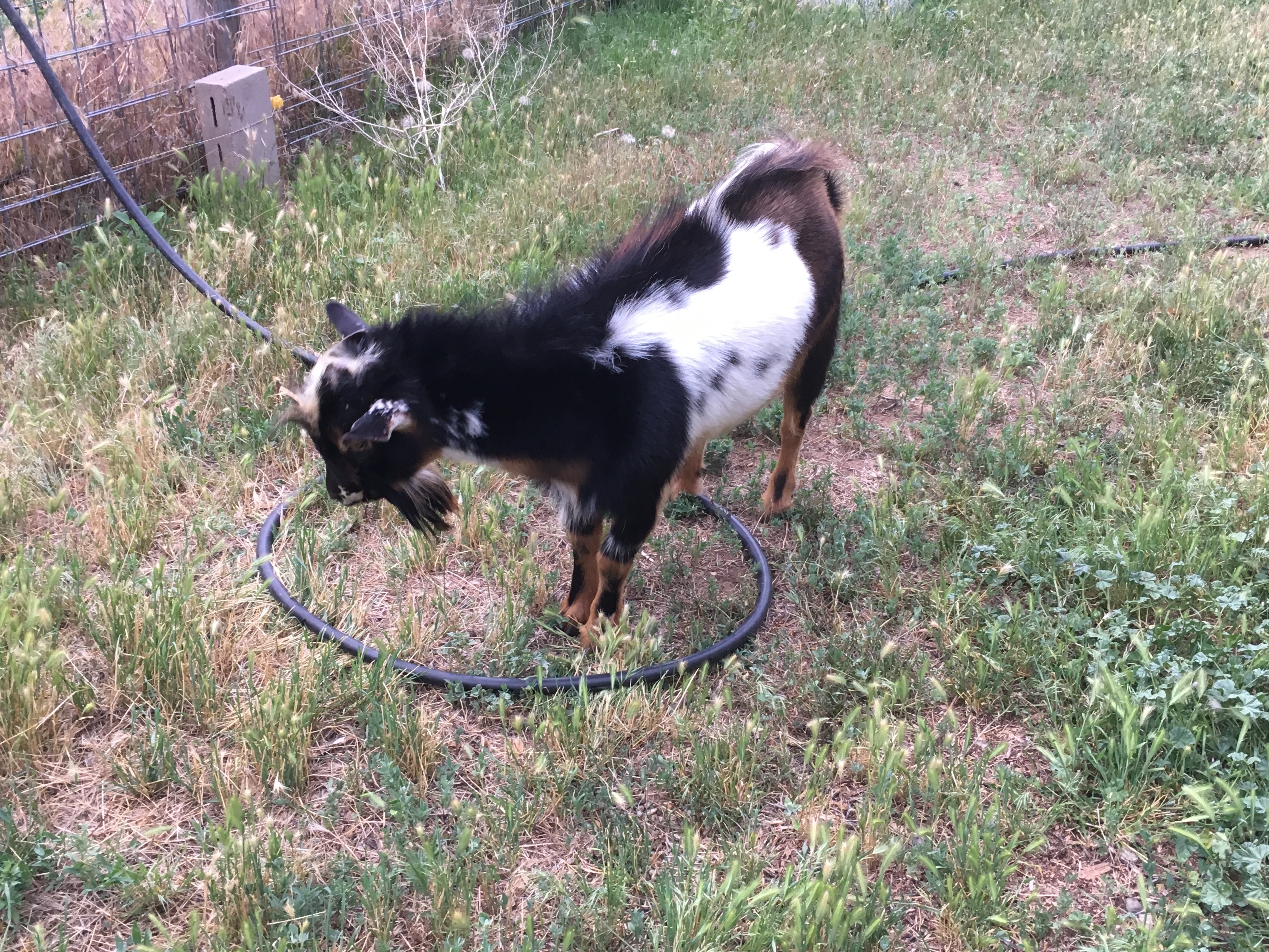 785F7E3F-A8BE-4532-866A-DDC4204E7EC7