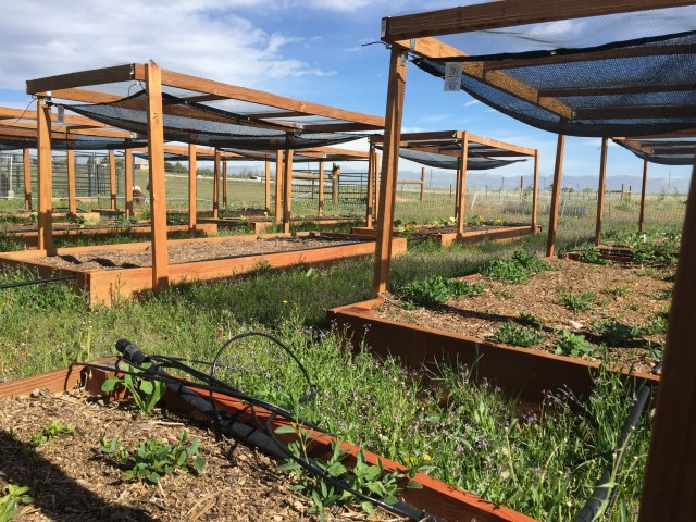 81228154-B1EA-4629-8E88-AB7EF490A66C