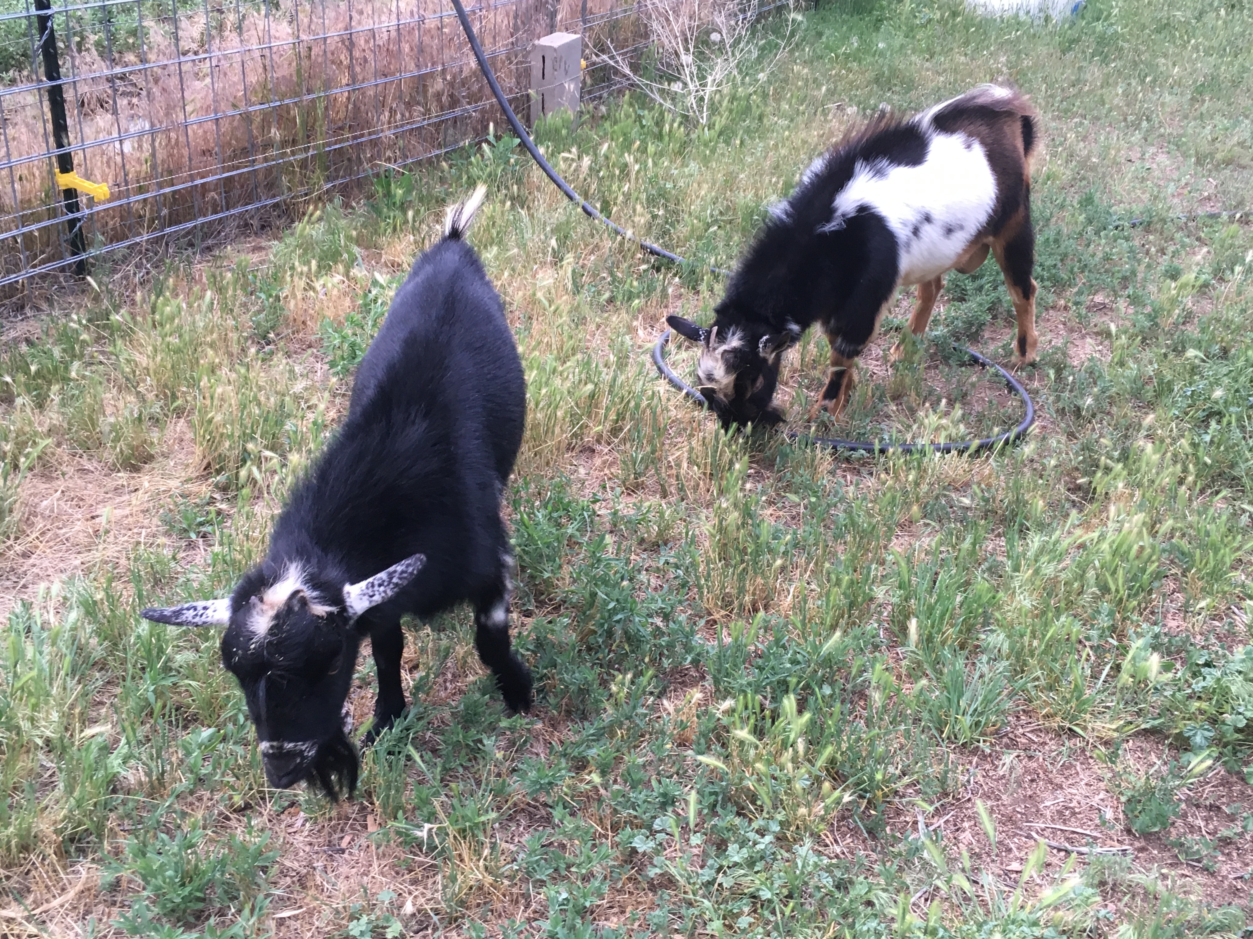 8E40118F-3A24-40F8-AE19-8C7EA54C201F