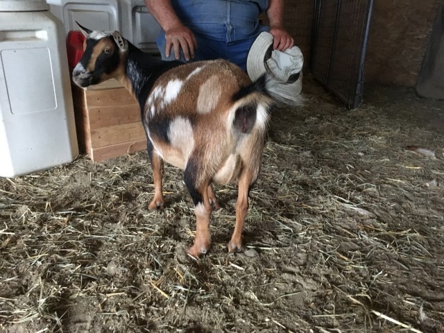 9AC27B9E-A5D5-4FDD-B31E-3CDA7502830F