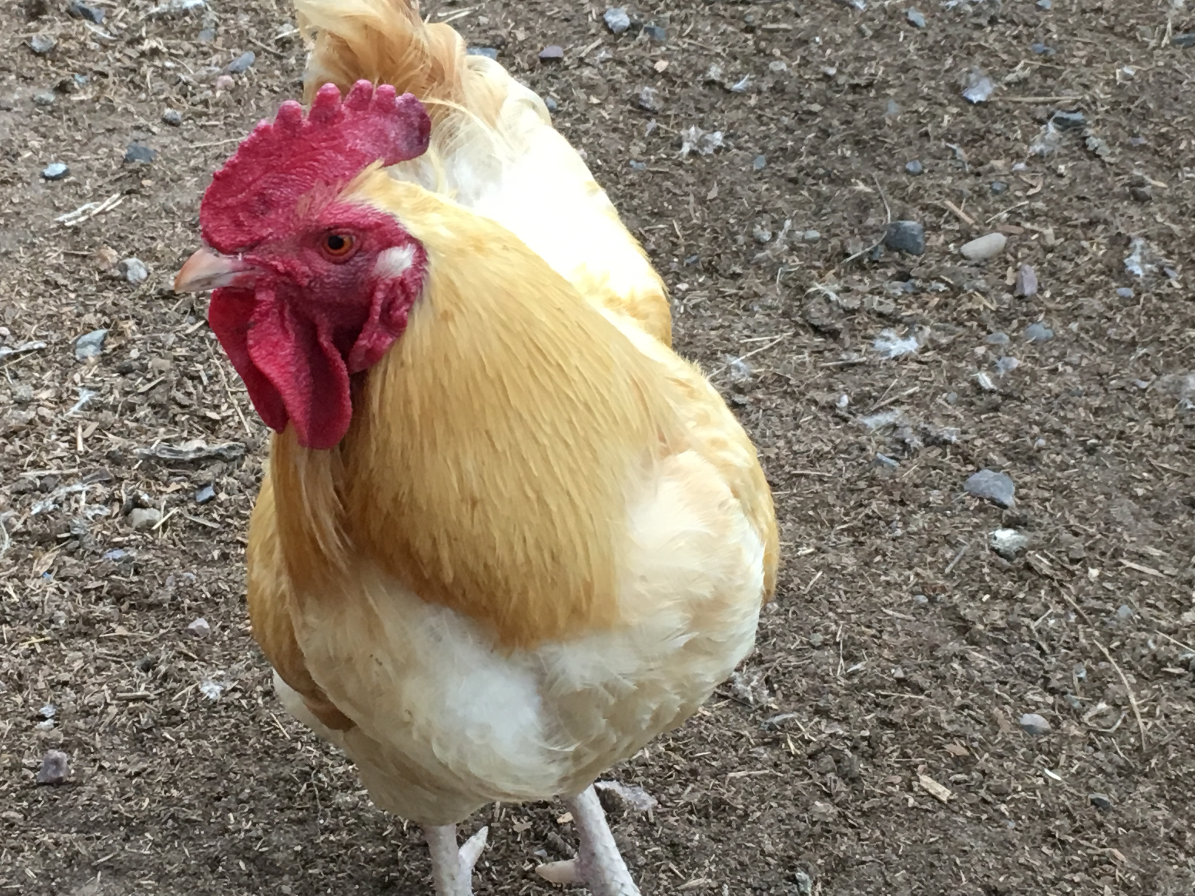 A7DC9B53-27FF-4030-A9B0-96DFBE37851B