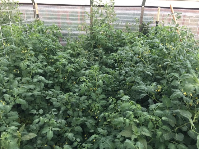 AD788D59-A492-46DE-B52C-B66A0A75DE60