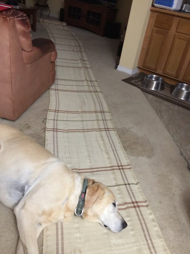 F43678F9-79AE-4617-ACD4-30AE1544785E