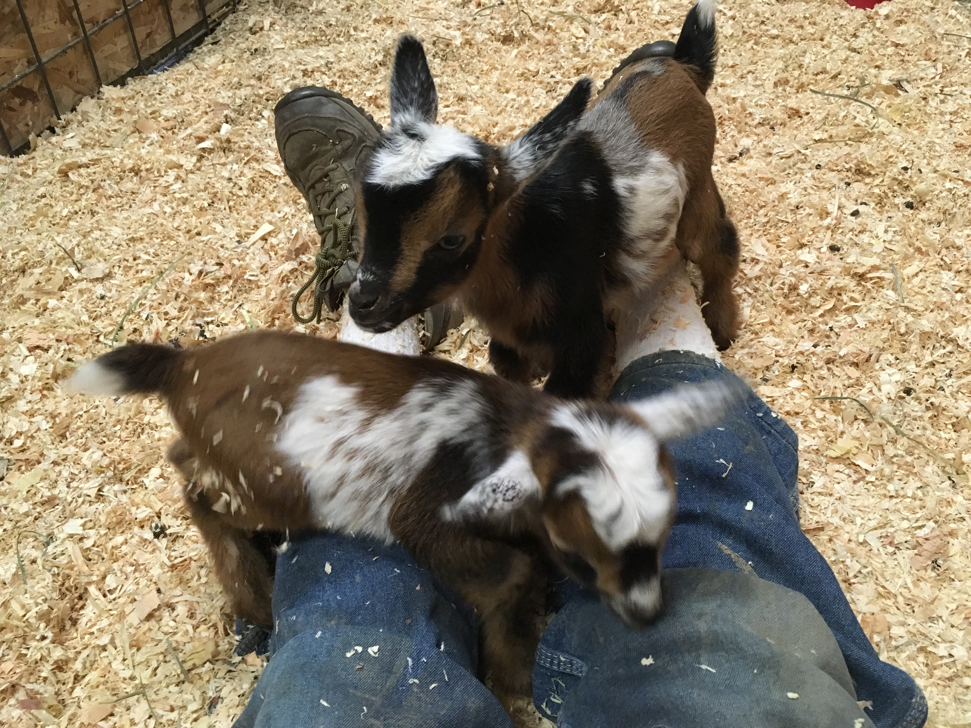 19496DE4-1A47-4A7F-8DB9-261DF0258E7C