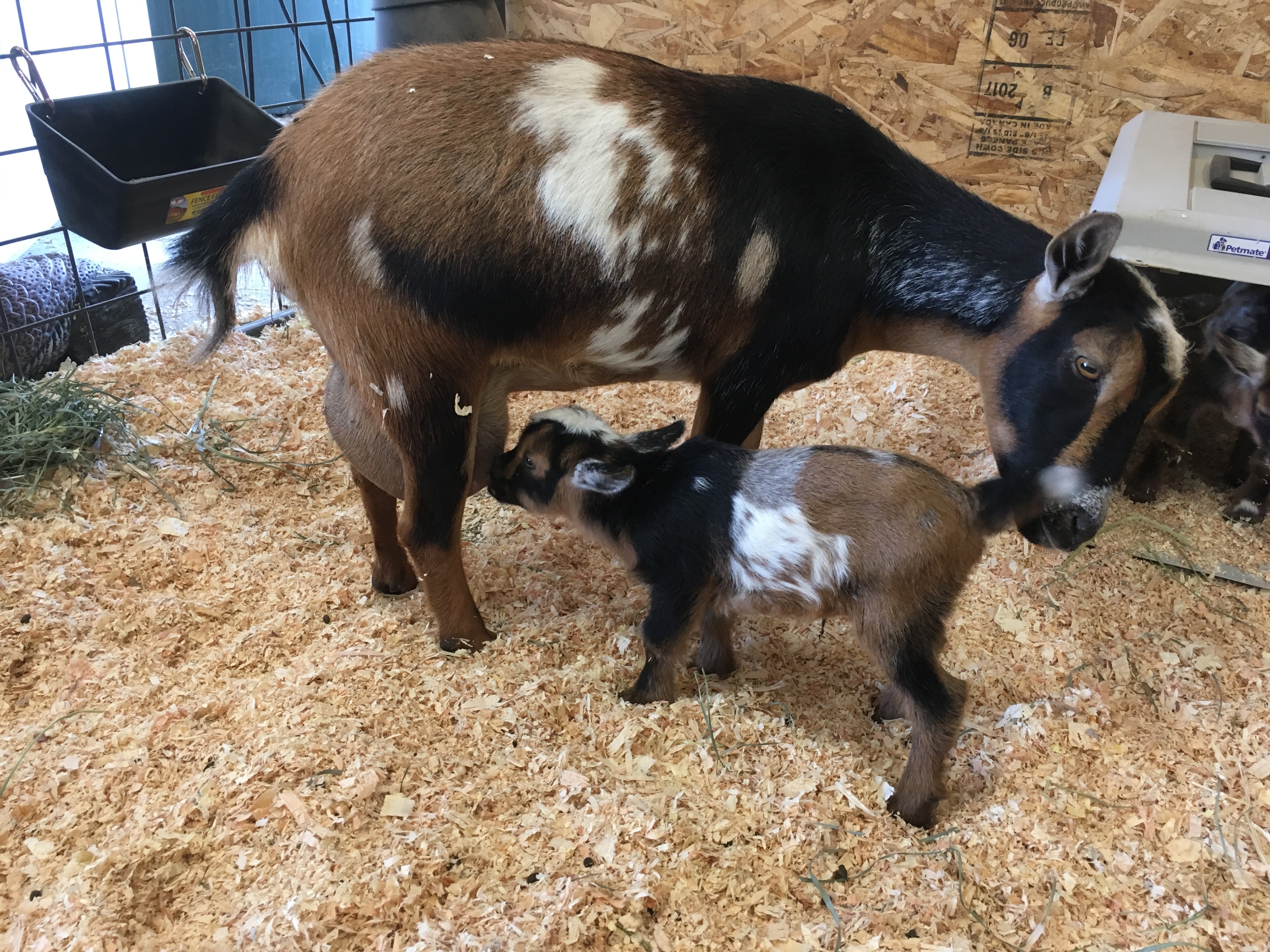 318638F1-A228-411D-9055-45C789E7ED2D