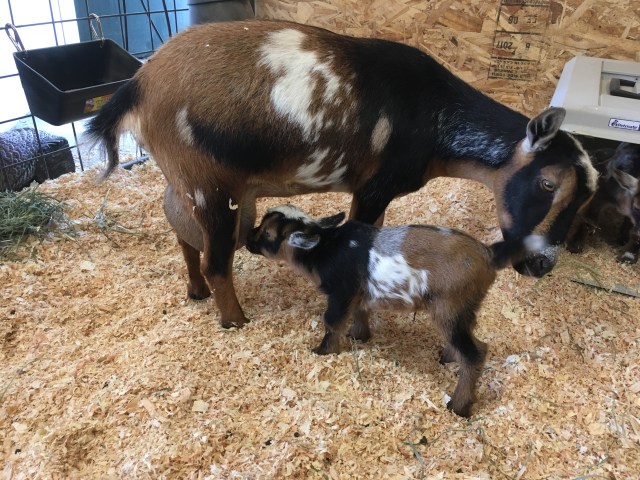 318638F1-A228-411D-9055-45C789E7ED2D