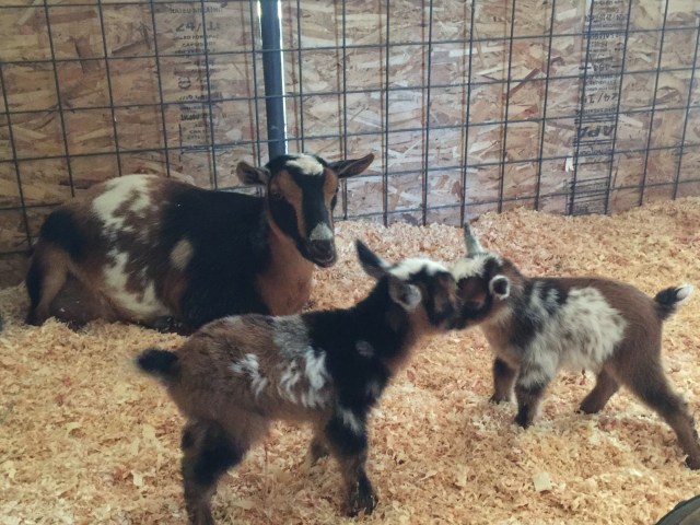 3198D853-85F5-4D0C-BFA6-B8B06E8B194C