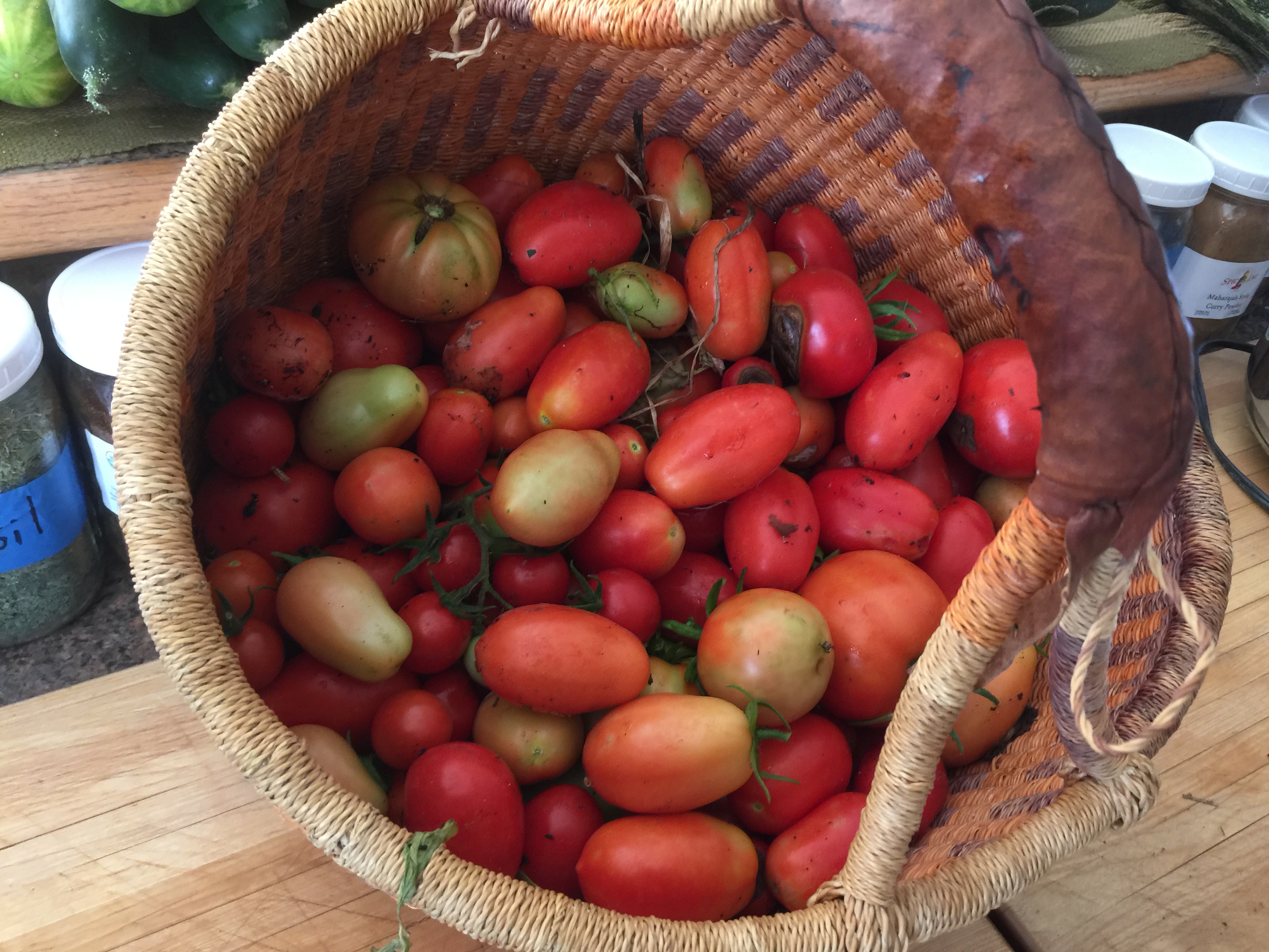 527D2842-6FD1-4D39-951C-A45ED1E89A2C