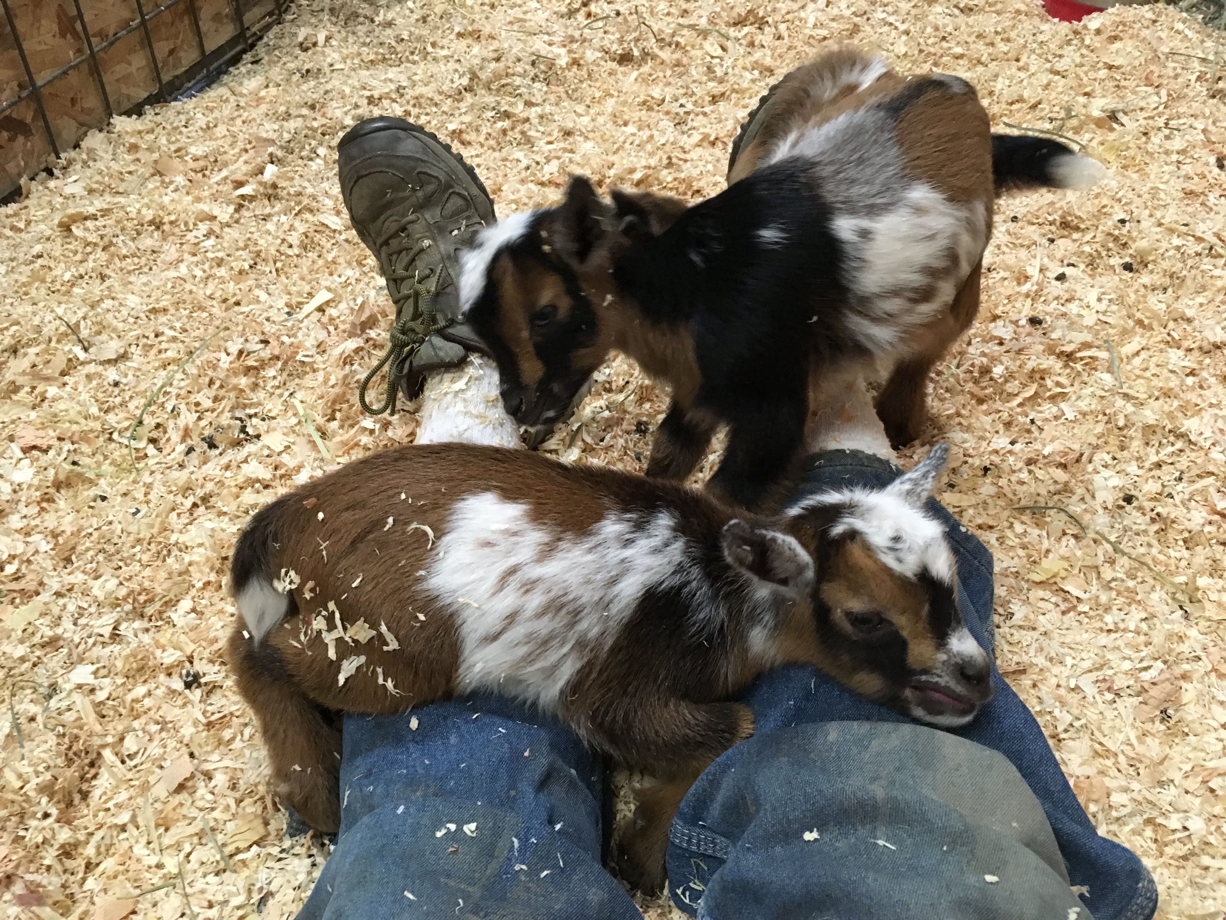 8F12A3FC-6C9C-4CEE-855B-85A322D0B7D6