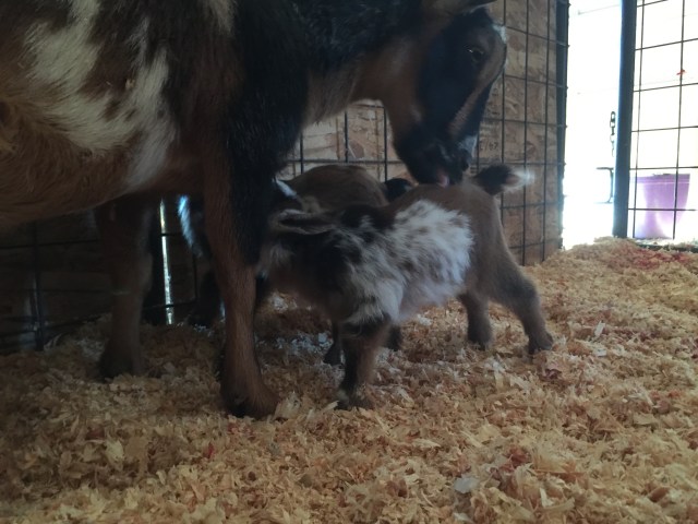 ABF630AE-EDAD-4694-B421-6957B2485154