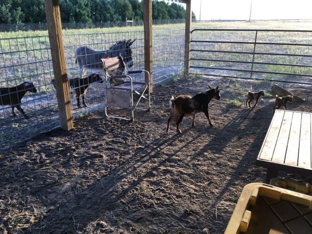 BC1AE595-6A9A-4F00-8855-06EF423EB5C8