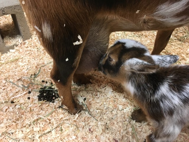 CA3C39E6-9ADA-4F21-AB40-9B3CA348ACE0