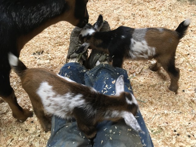 D6A36A0F-8226-4A2B-B29D-713013F6EC69