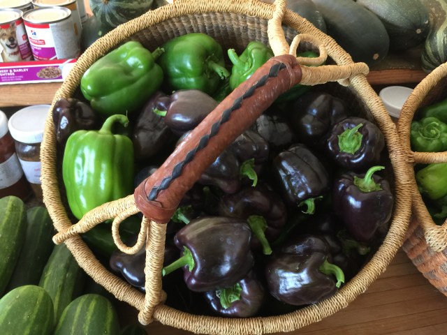 E1054BA6-C0A2-4F83-8BA9-32137C8931A1