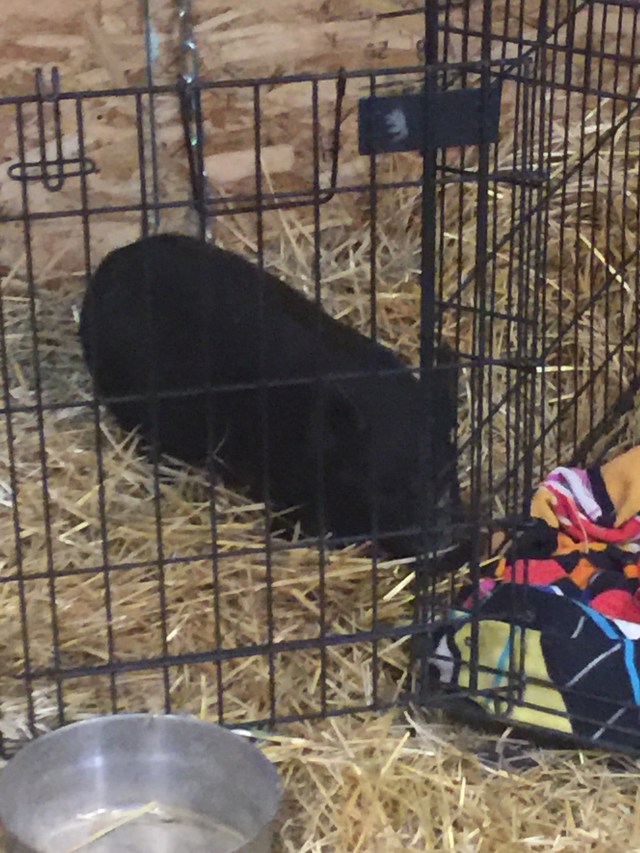 18A42EEC-59C5-42A7-BC0A-EDFB1B53B4AD