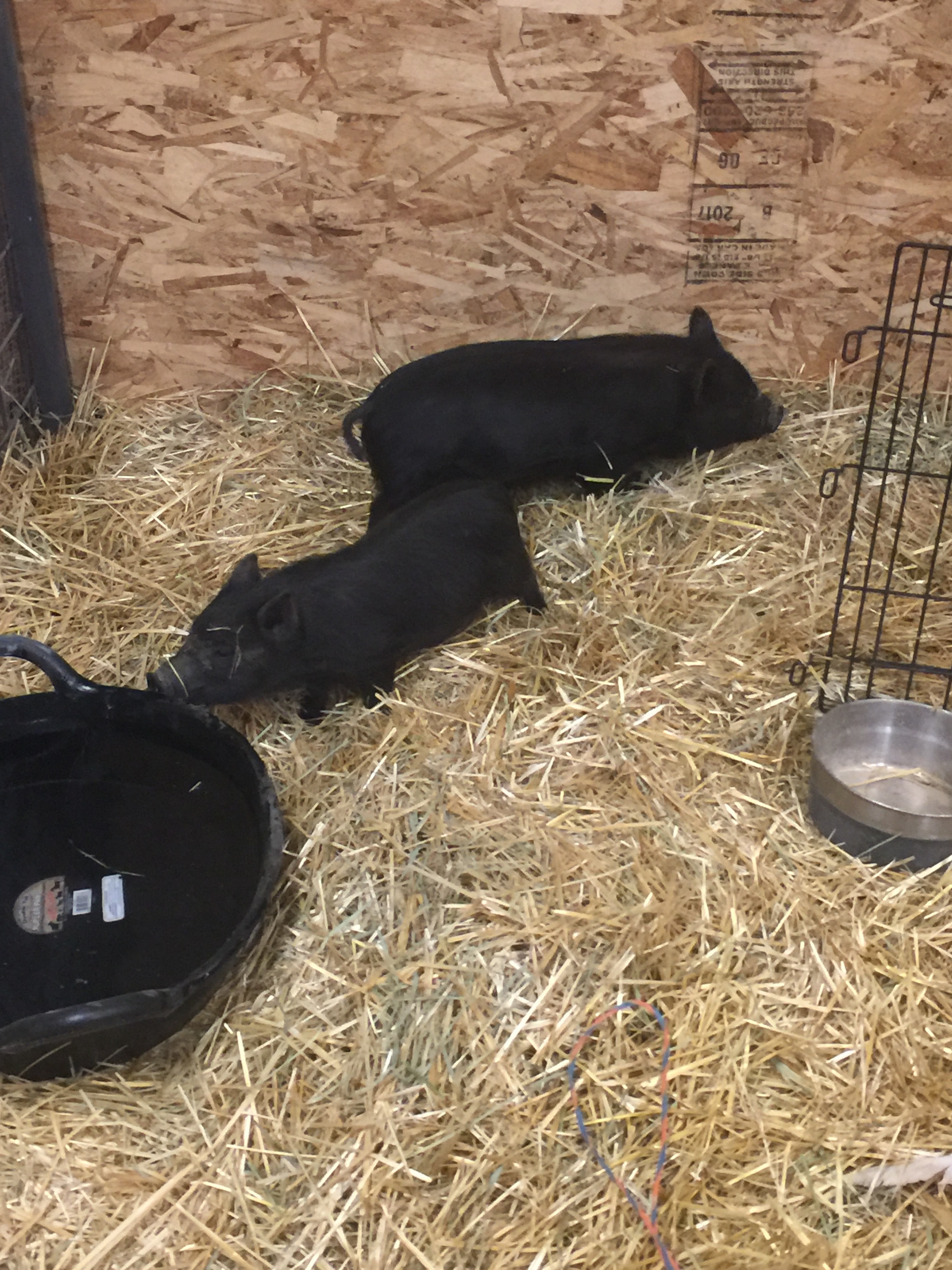 1BD6806E-9136-4DB9-BD47-1489A7373E80