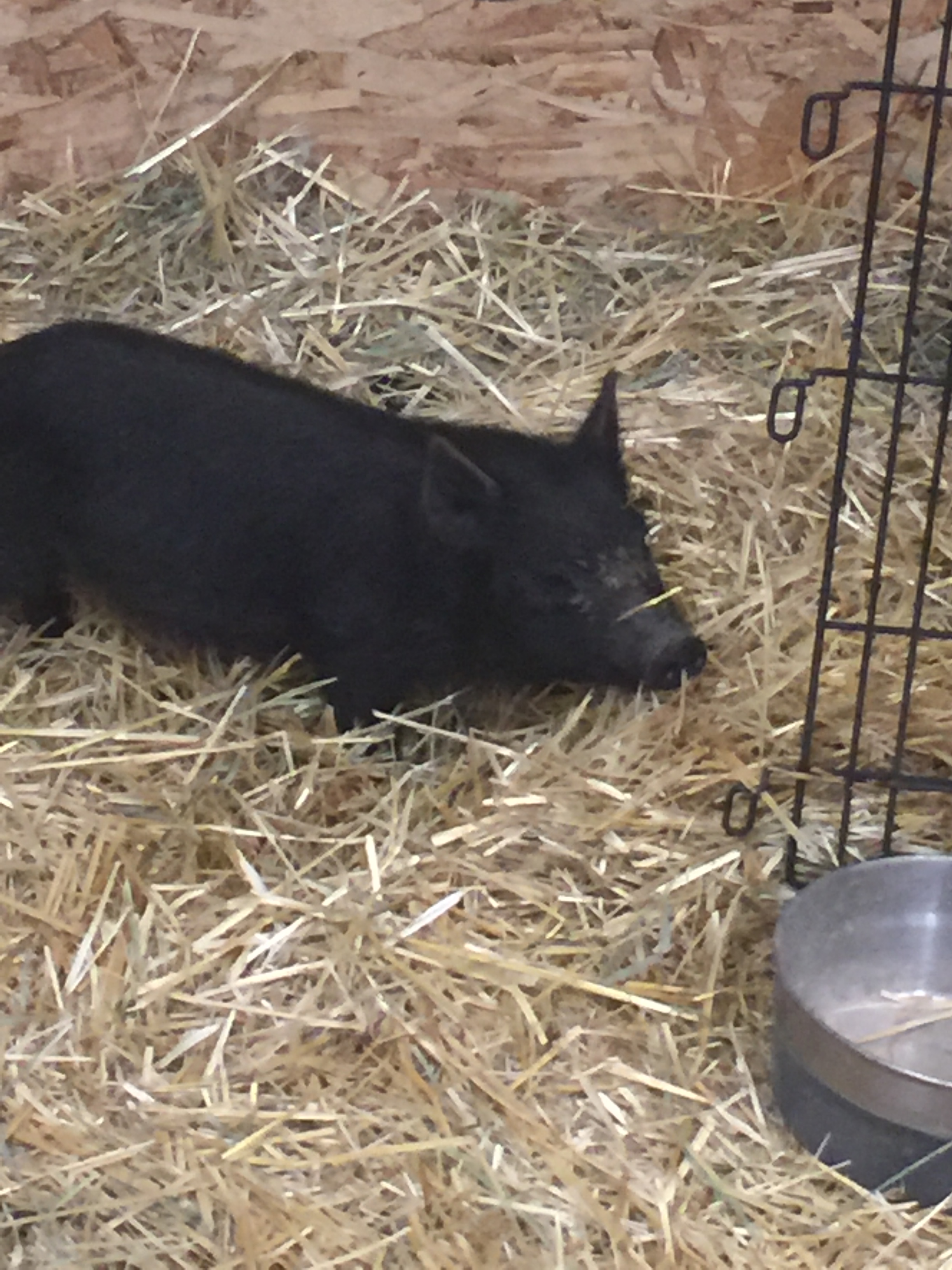 3001DDA8-3E05-4389-B118-D8C196F6BE92