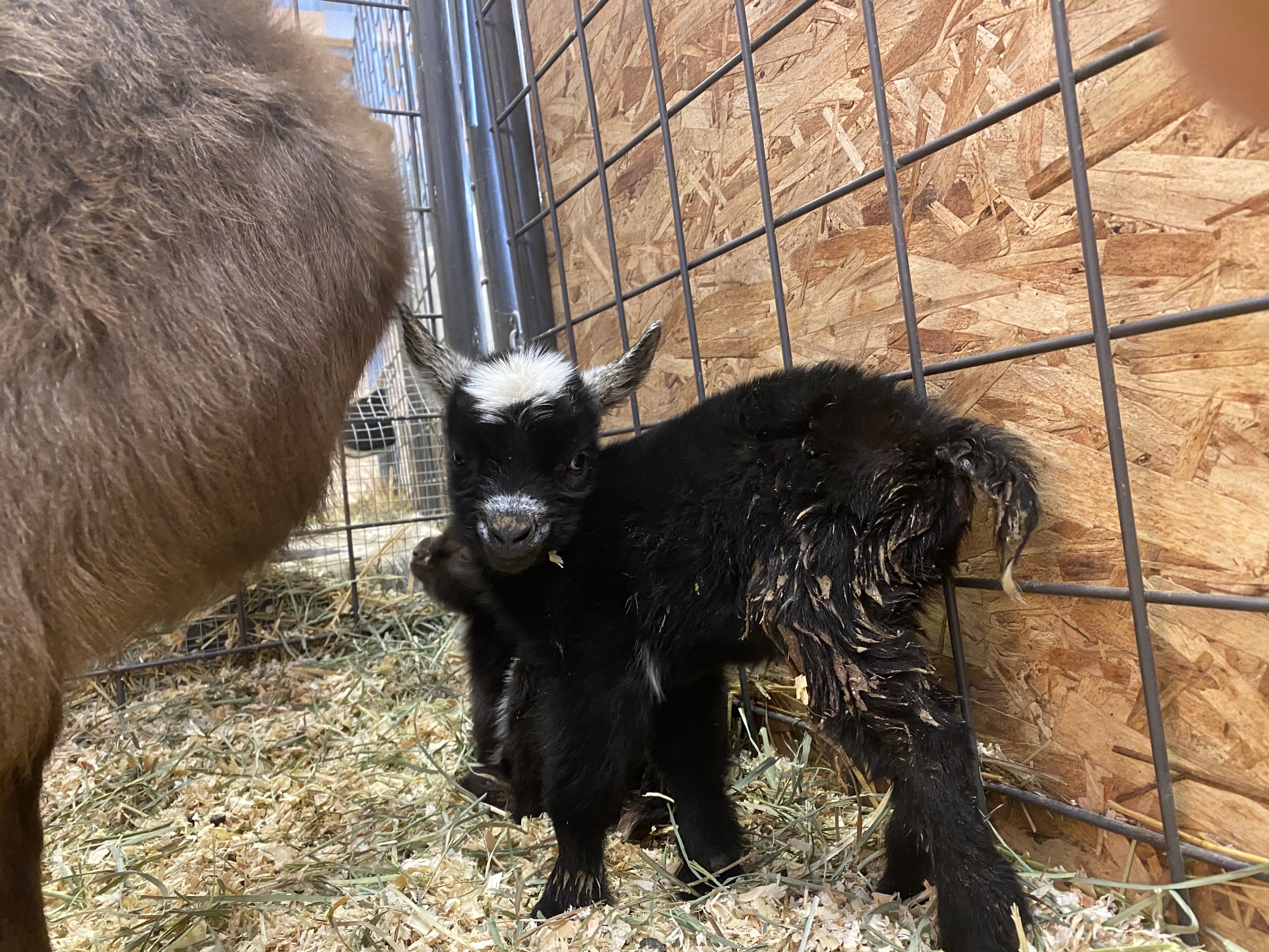 A5tjlHrwTzaeseVBdQyPUw