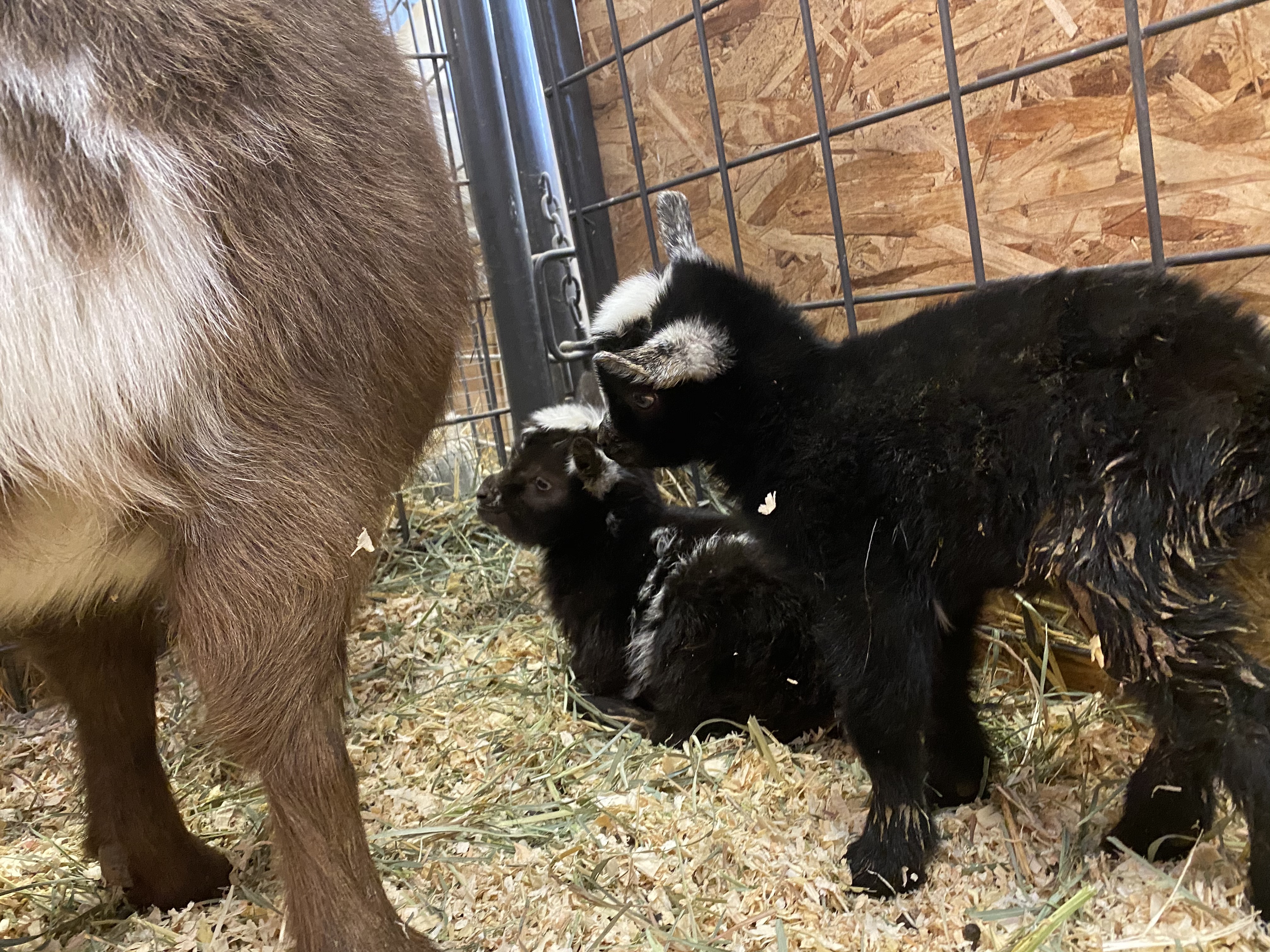 CVwzpk8bQdK%Q3TB0q0lLA