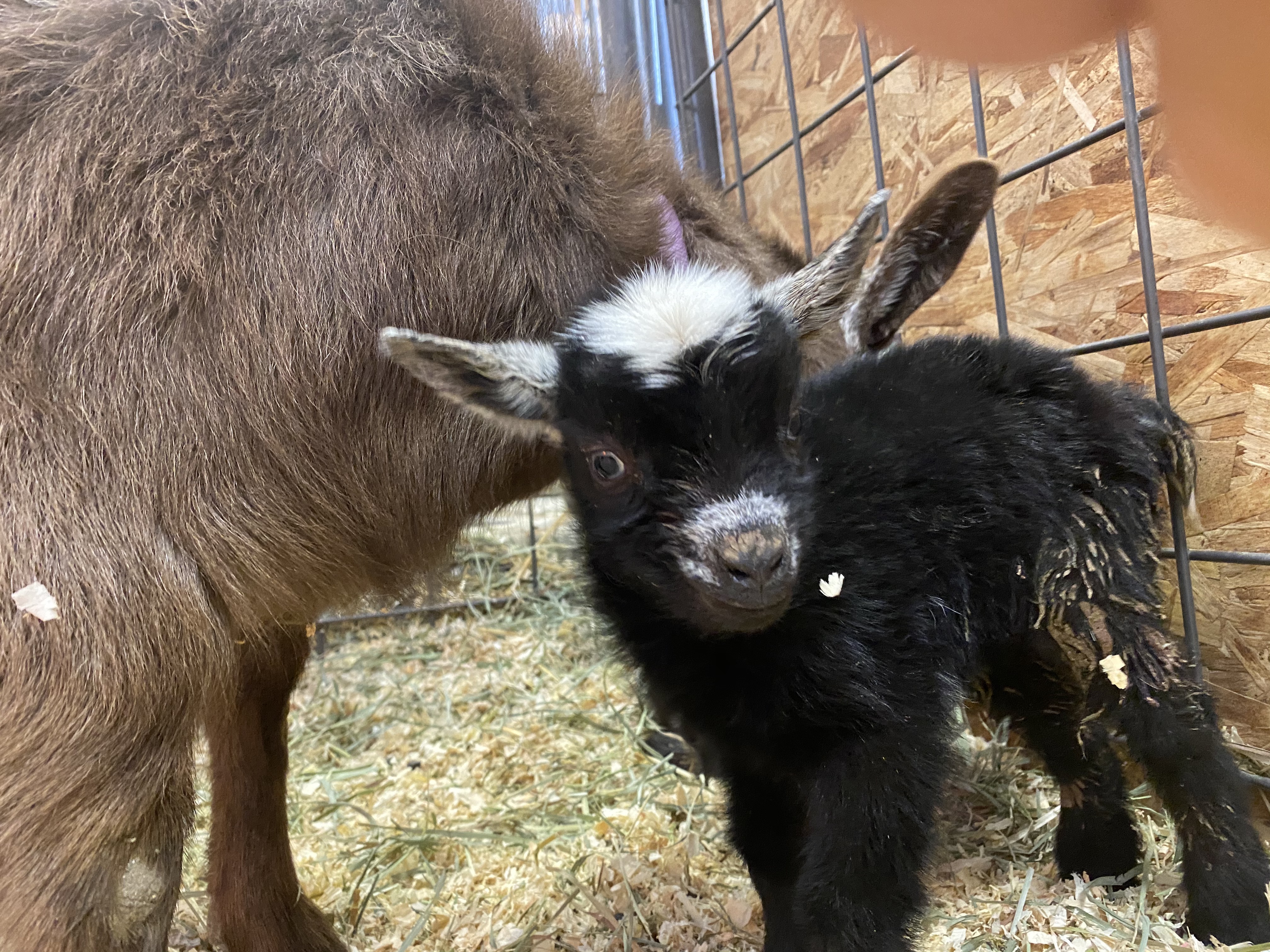 f2RtD2KMRpWqAlSAbcZcwA