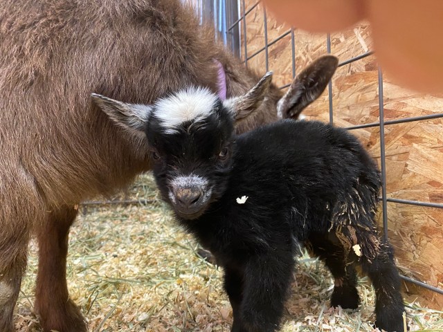 Lv4wDN9uSP+9g%uXAjJQOQ