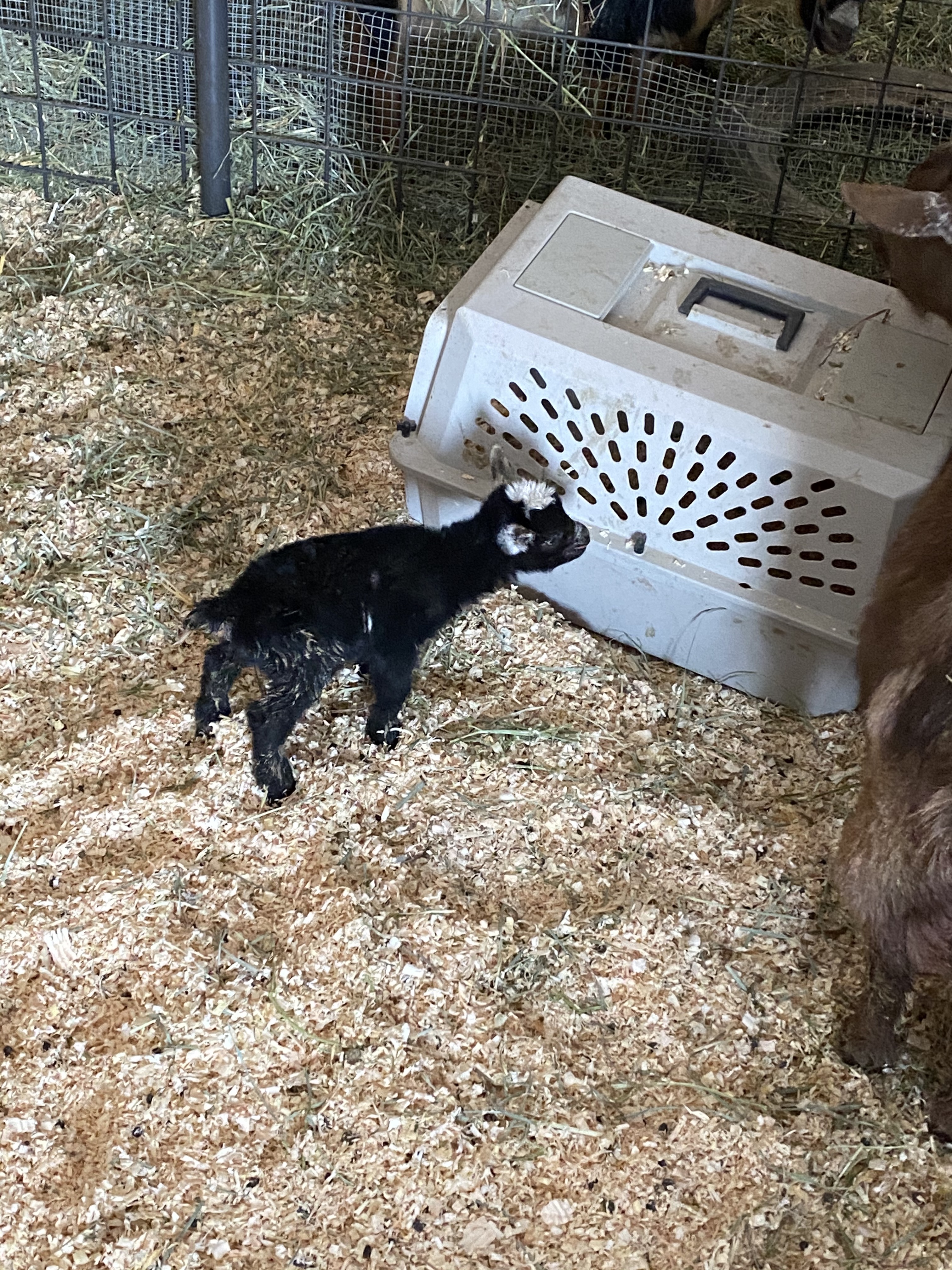 sHdi9cVYQLeTZlJj9lZKtg