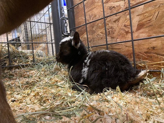 VgRScsvtQACkj41OEV6EGw