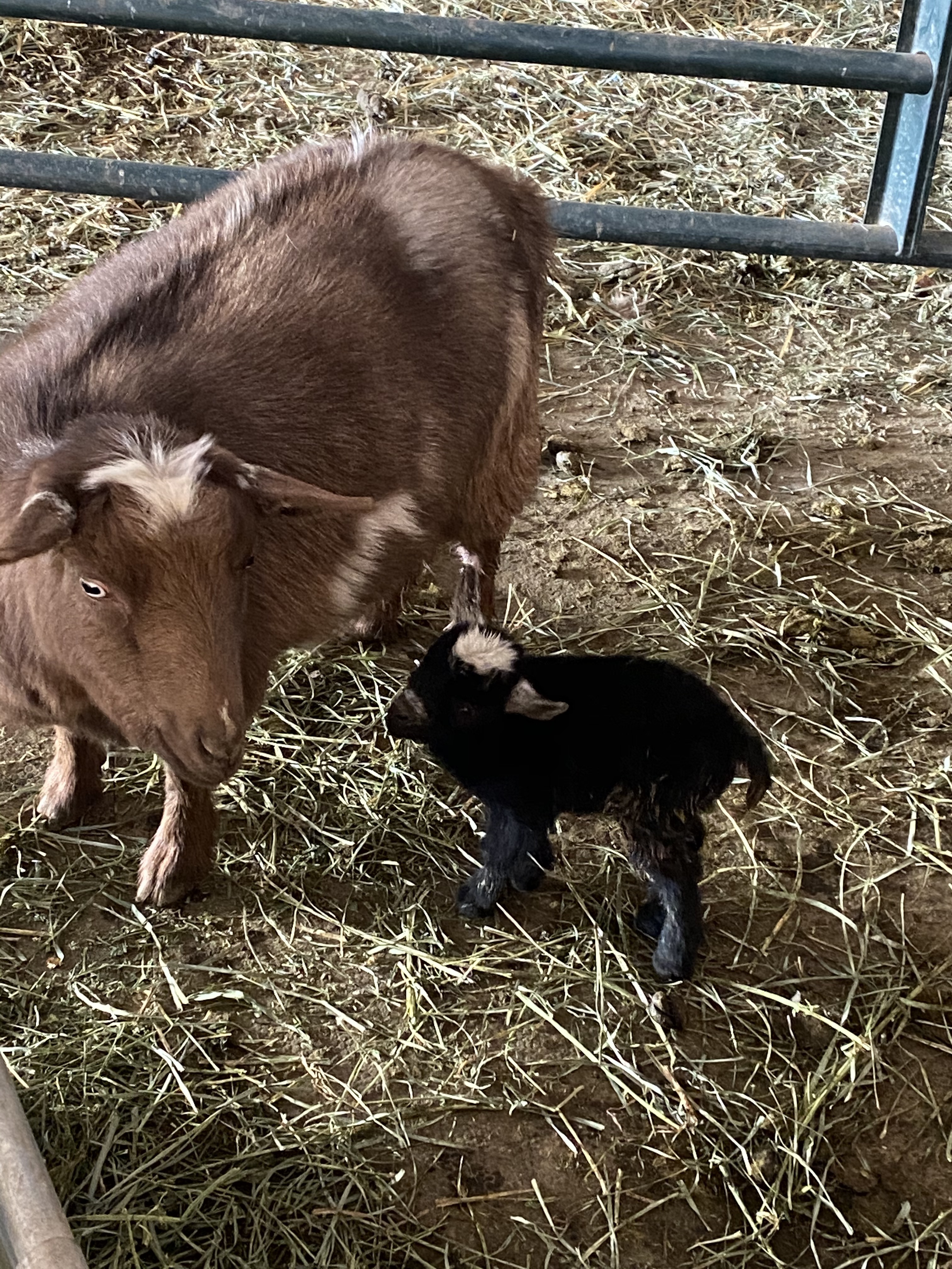 ZoSep+JKSsGkhmZUVwIFbg